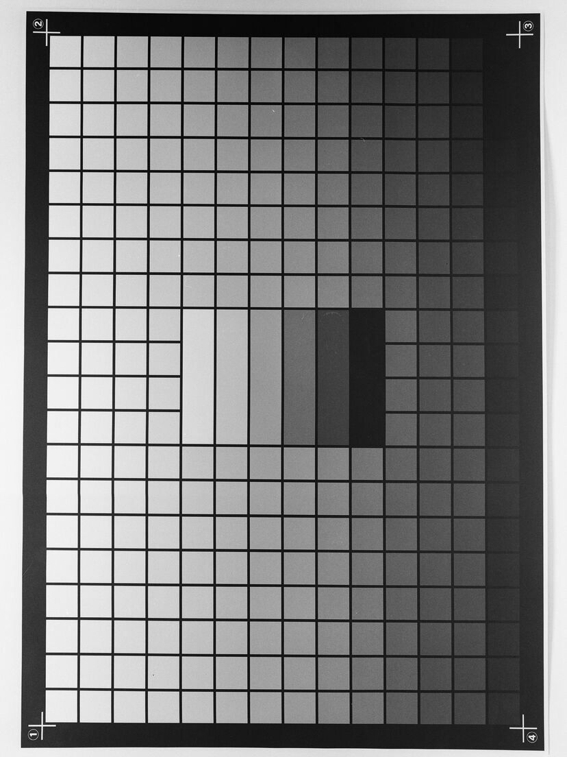 A black and white film photograph of a calibration chart showing a grid of grayscale tonal gradations.